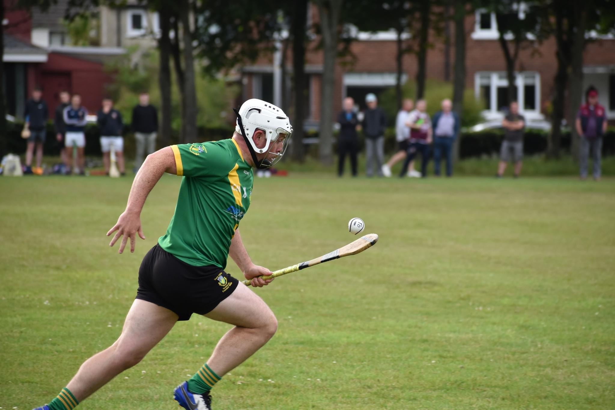 Adult Hurling league roundup | Thomas Davis GAA