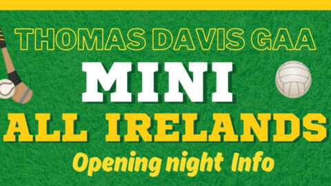 Mini All Irelands info