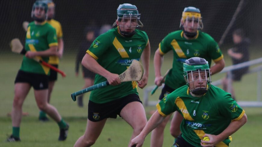 Adult Hurling Champ Round 1 report